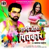 About Sali Johatari Pichkari Bhojpuri Holi song Song