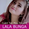 About Cubit Tak Mau Dicubit Song