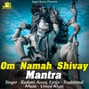 Om Namah Shivay Mantra Aarti & Mantr
