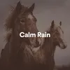 Rain Sounds For Sleep