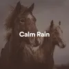About Rain For Sleeping One Hour Song