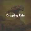 Perfect Rain Sounds For Sleep