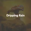 Rain Sounds For Sleep Website