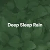 Rain Sleep Sounds Thunder