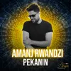 About Pekanin Song