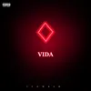 About Vida Song