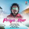 Priya Mur