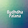 Budhdha Palana