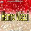 Hamro Vidaai