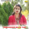 About TRIBHUBANER MALIK TUMI Song