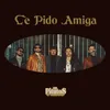 About Le Pido Amiga Song