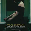 About Pagal Deewani Song