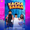 About Kacha Badam Song