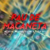 About PAU DE MAÇANETA Song