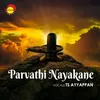 Parvathi Nayakane