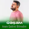 About Anam Qədrini Bilmədim Song