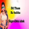 About Dil Tham Ke Baitha Song