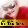 About Ku Tak Bisa Song