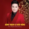 About Đừng Trách Lá Diêu Bông Song