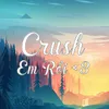 About Crush Em Rồi Remix Song