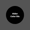 About Color life Song