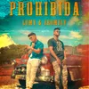 About Prohibida Song