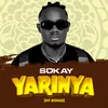 About Yarinya Song