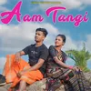 About AAM TANGI Song