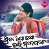 About Mita Apa Katha Bhari Manepade Song