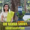 About Om Namah Shivay Song