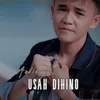 About Usah Dihino Song