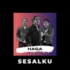 About Sesalku Song