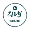 Elvy Sukaesih - Pernahkah