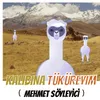 About Kalıbına Tüküreyim Song