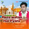 About Mera watan hai payara Song