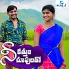 About Nee Kattula Chupulatho Song