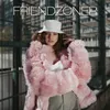 About Friendzoner Song