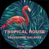 About Tropical House Song