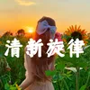 About 清新旋律 Song