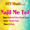 About Najil Me Tel Song