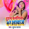 About Tutal Palgiya Kare Aabaj Song