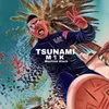 About TSUNAMI Song