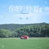 About 你的仲夏 Song