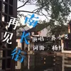 About 再见南长街 Song