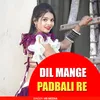 About DIL MANGE PADBALI RE Song