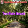 About Tare Ami Bhalo Veseche Song