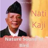 About Nature Sound of Bird Song