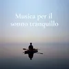 Musica per il sonno tranquillo, pt. 10