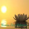 Música Para Meditar