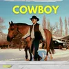 About Cow Boy Song